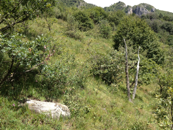 massoerratico